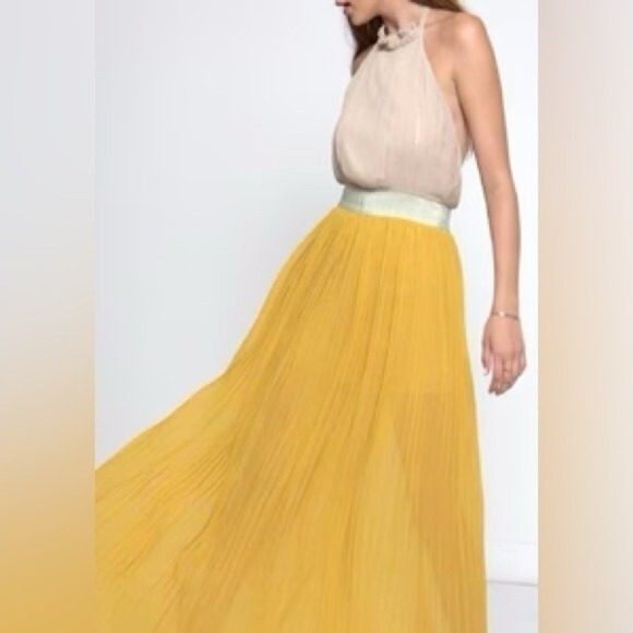 Lucy Paris Dresses & Skirts - LUCY PARIS NWT Pleated Halter Goldie Maxi Dress Backless Gold Yellow Beige Small